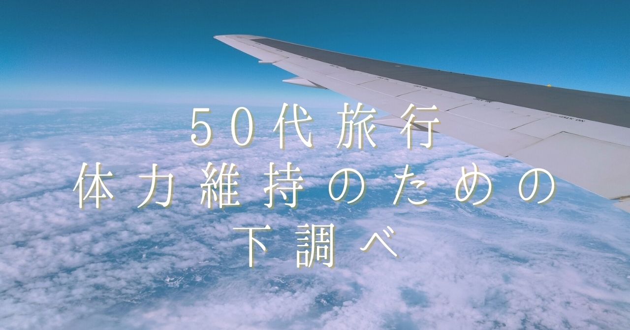 飛行中の飛行機の翼