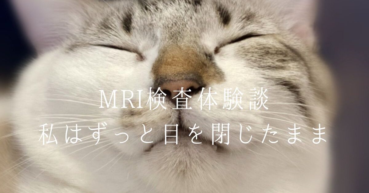 目を閉じる猫