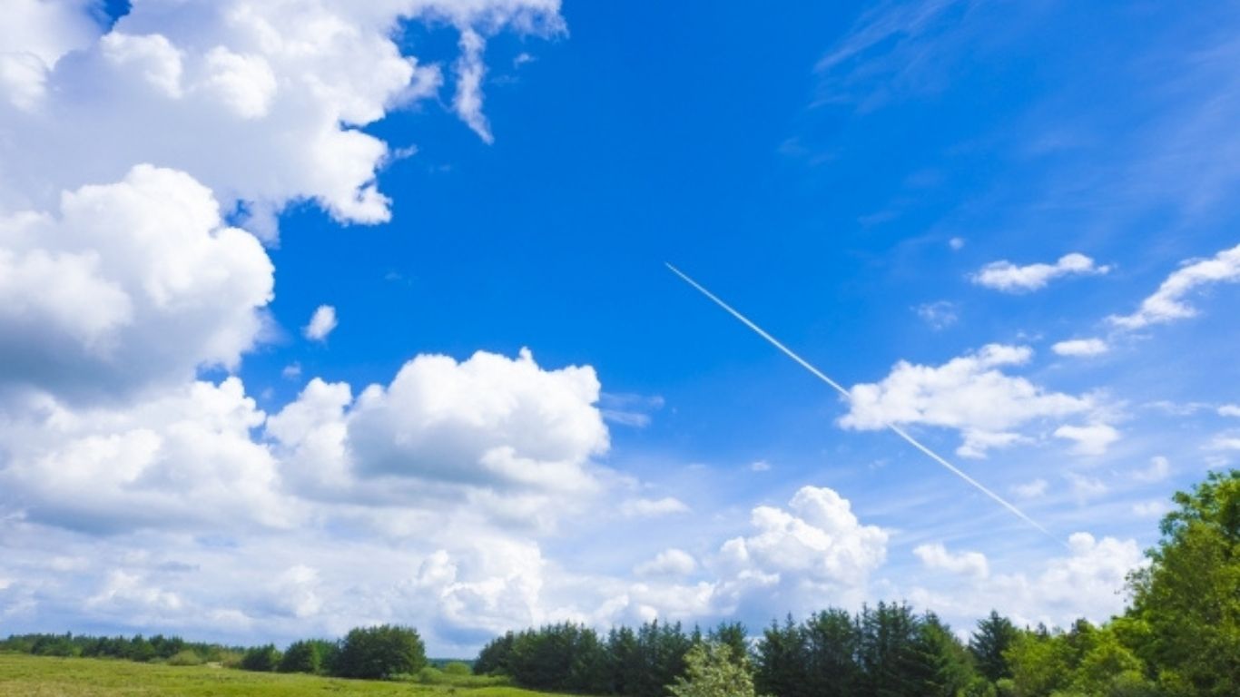 青空と緑の木